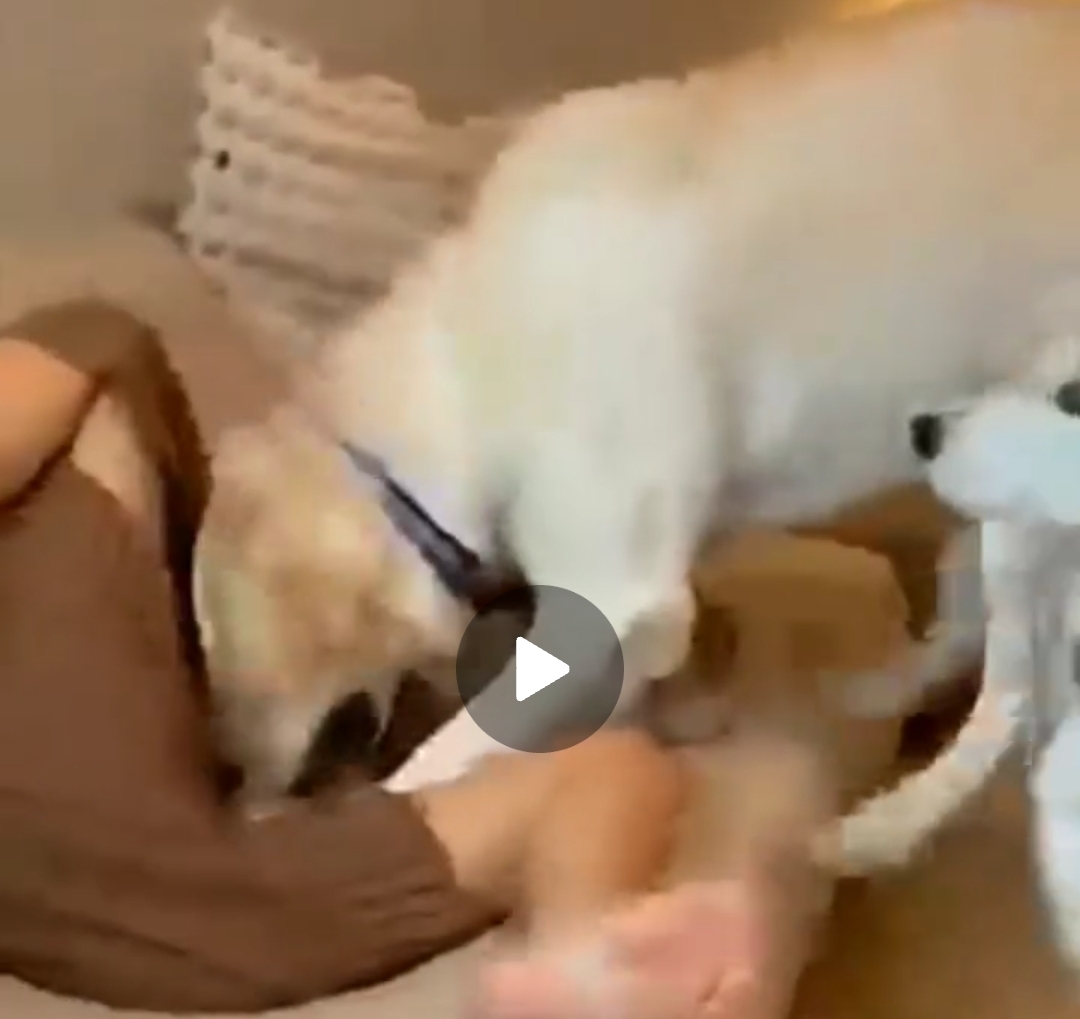 18+ MeMe: How did she allow that?