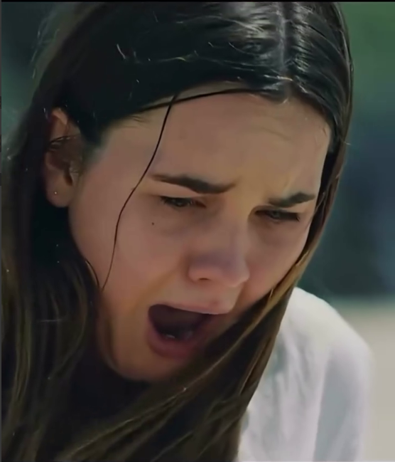 In this Film a quiet beach trip turns into a terrifying fight for survival as strange and deadly events begin to happen.