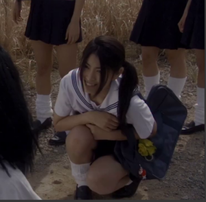 A crazy movie about two sisters who are turned into powerful robot and must fight enemies with strange weapons while trying to stop a dangerous evil plan.