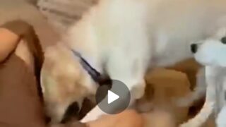 18+ MeMe: How did she allow that?