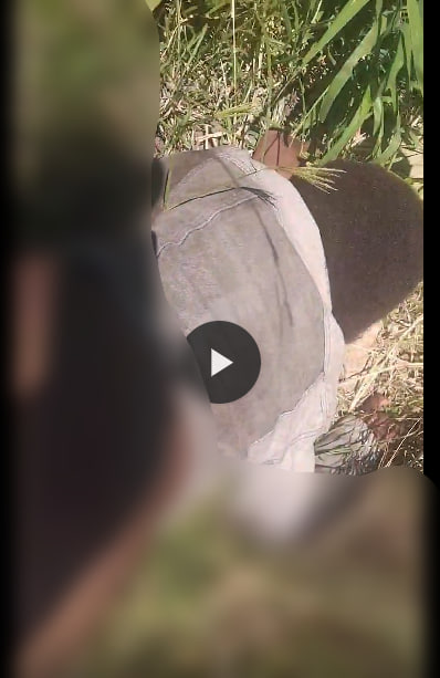 Galamsey Guy Chopping Teen in Bush Azigi